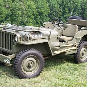 Meet your Posher, Bruce